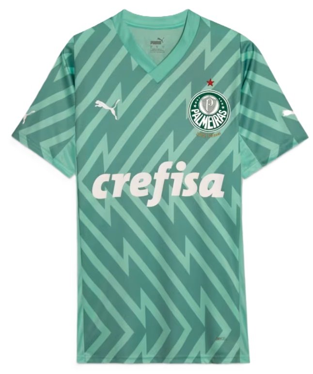Camisa Goleiro I Palmeiras 2024 Puma oficial 